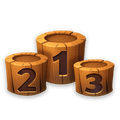 Prize place in tournament (1-10)